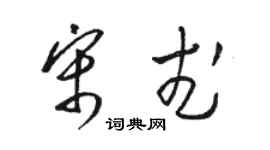 駱恆光宋武草書個性簽名怎么寫