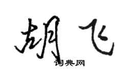 駱恆光胡飛行書個性簽名怎么寫