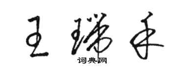 駱恆光王瑞禾草書個性簽名怎么寫