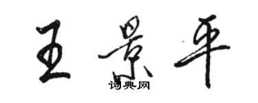 駱恆光王景平行書個性簽名怎么寫