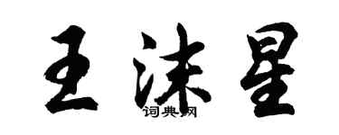 胡問遂王沫星行書個性簽名怎么寫