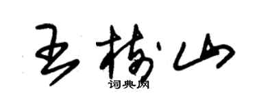 朱錫榮王樹山草書個性簽名怎么寫