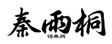 胡問遂秦雨桐行書個性簽名怎么寫