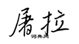 王正良屠拉行書個性簽名怎么寫