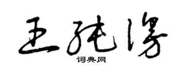 曾慶福王純漫草書個性簽名怎么寫