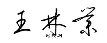 梁錦英王林業草書個性簽名怎么寫