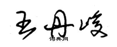 朱錫榮王丹峻草書個性簽名怎么寫