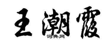 胡問遂王潮霞行書個性簽名怎么寫