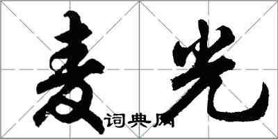 胡問遂麥光行書怎么寫