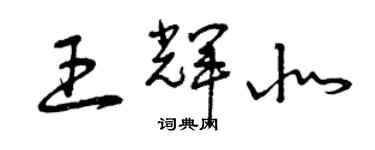 曾慶福王輝北草書個性簽名怎么寫