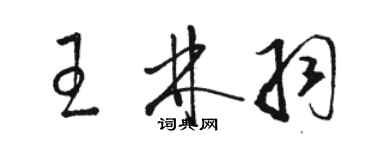 駱恆光王林羽草書個性簽名怎么寫