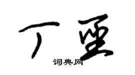朱錫榮丁聖草書個性簽名怎么寫