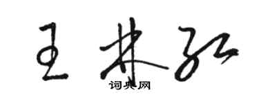 駱恆光王林紅草書個性簽名怎么寫