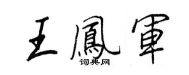 王正良王鳳軍行書個性簽名怎么寫