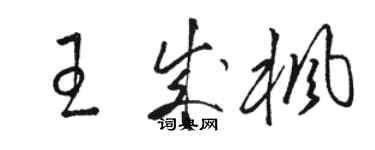 駱恆光王成楓草書個性簽名怎么寫