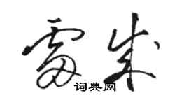 駱恆光雷成草書個性簽名怎么寫