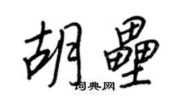 王正良胡壘行書個性簽名怎么寫