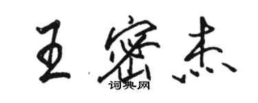 駱恆光王密傑行書個性簽名怎么寫