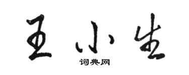 駱恆光王小生行書個性簽名怎么寫