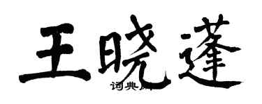 翁闓運王曉蓬楷書個性簽名怎么寫