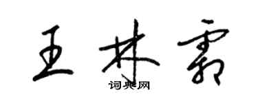 梁錦英王林霜草書個性簽名怎么寫
