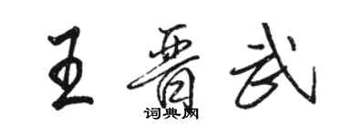 駱恆光王晉武行書個性簽名怎么寫