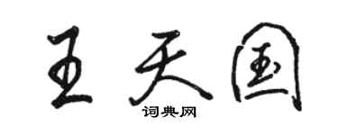 駱恆光王天國行書個性簽名怎么寫