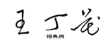 駱恆光王丁花草書個性簽名怎么寫