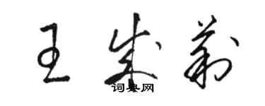 駱恆光王成莉草書個性簽名怎么寫