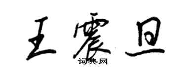 王正良王震旦行書個性簽名怎么寫