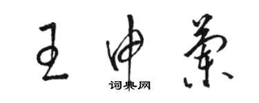 駱恆光王申蘭草書個性簽名怎么寫