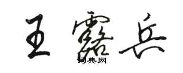 駱恆光王露兵行書個性簽名怎么寫