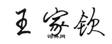 駱恆光王家欽行書個性簽名怎么寫