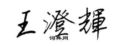 王正良王澄輝行書個性簽名怎么寫