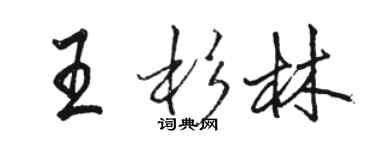 駱恆光王杉林行書個性簽名怎么寫