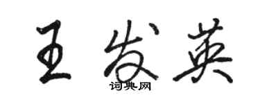 駱恆光王發英行書個性簽名怎么寫