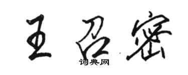 駱恆光王召密行書個性簽名怎么寫