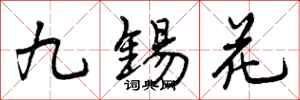 曾慶福九錫花行書怎么寫