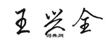 駱恆光王興全行書個性簽名怎么寫