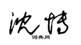 朱錫榮沈博草書個性簽名怎么寫