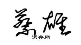 朱錫榮蔡雄草書個性簽名怎么寫