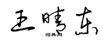 曾慶福王晴東草書個性簽名怎么寫