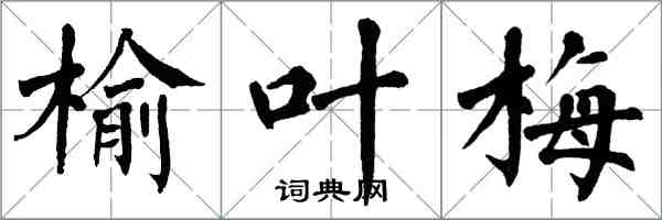 翁闓運榆葉梅楷書怎么寫