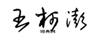 朱錫榮王柯澎草書個性簽名怎么寫