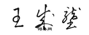 駱恆光王成壟草書個性簽名怎么寫