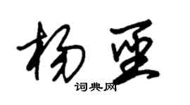 朱錫榮楊聖草書個性簽名怎么寫