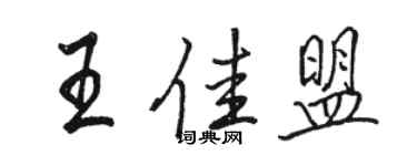 駱恆光王佳盟行書個性簽名怎么寫
