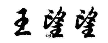 胡問遂王望望行書個性簽名怎么寫