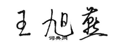 駱恆光王旭燕草書個性簽名怎么寫