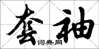 胡問遂套袖行書怎么寫